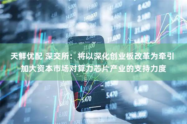 天鲜优配 深交所：将以深化创业板改革为牵引 加大资本市场对算力芯片产业的支持力度