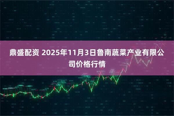 鼎盛配资 2025年11月3日鲁南蔬菜产业有限公司价格行情