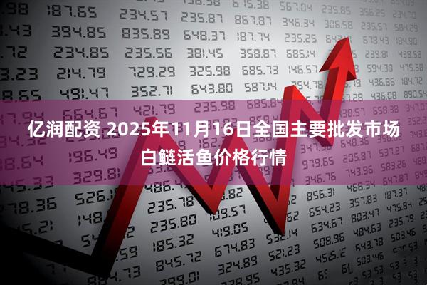 亿润配资 2025年11月16日全国主要批发市场白鲢活鱼价格行情