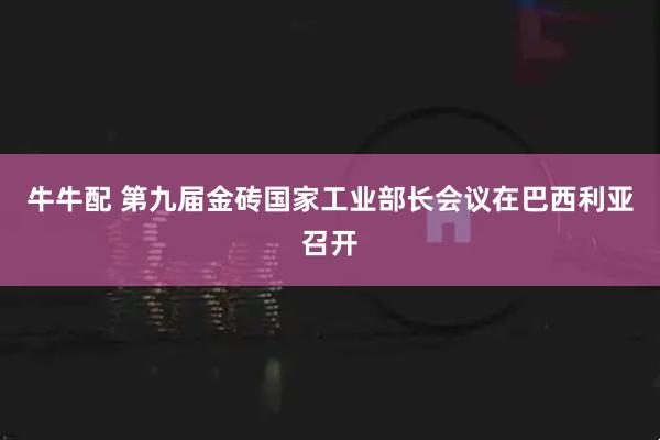 牛牛配 第九届金砖国家工业部长会议在巴西利亚召开